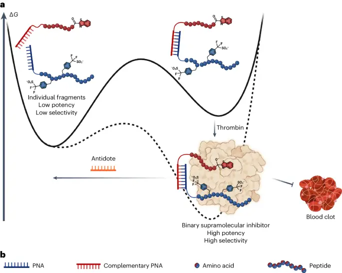 Pattern of supramolecular anticoagulants with on-ask reversibility