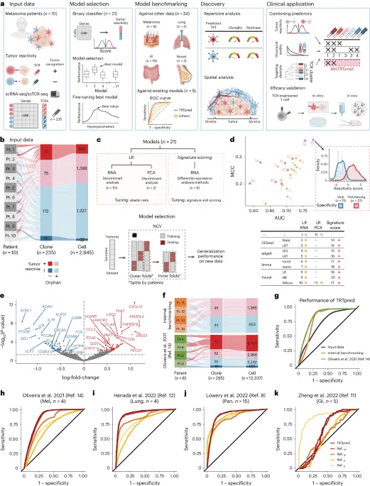 Identification of clinically connected T cell receptors for personalized T cell remedy the usage of combinatorial algorithms