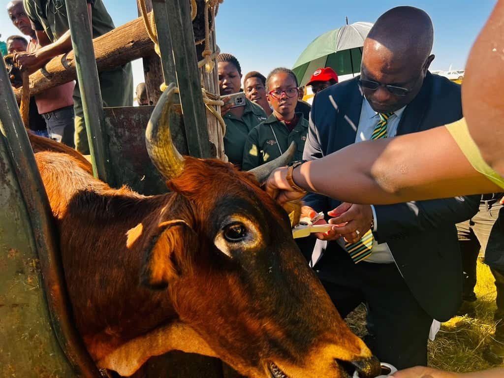 News24 | Jap Cape govt launches howdy-tech impress initiative to combat rampant stock theft