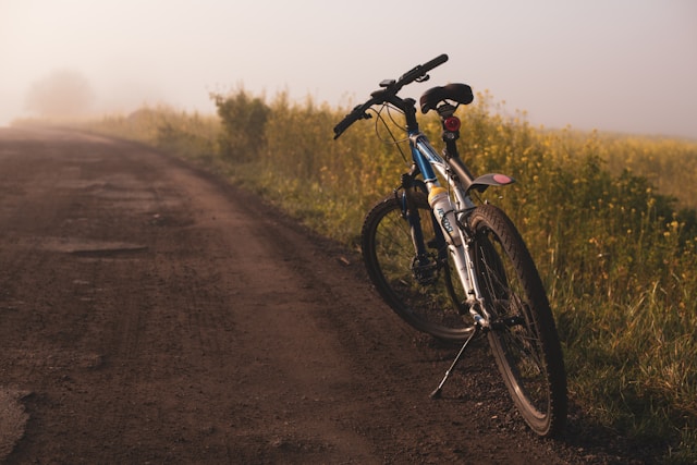 The Secret of a Wholesome Daily life: How Physical Job Can Make stronger Your Health