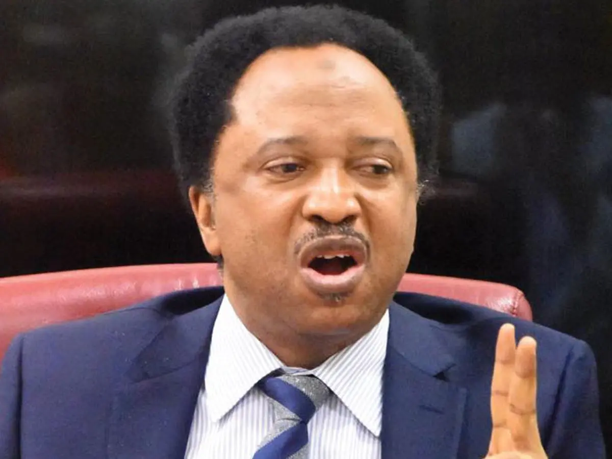 I’ll tackle Wike next time we meet –Shehu Sani