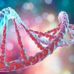 Genes vs. Lifestyle: Which Matters More for Health?