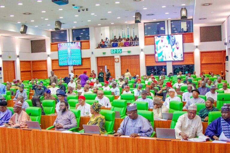 Reps passes bill to reserve 74 seats for women in National Assembly