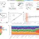 Large-scale discovery of chromatin dysregulation induced by oncofusions and other protein-coding variants