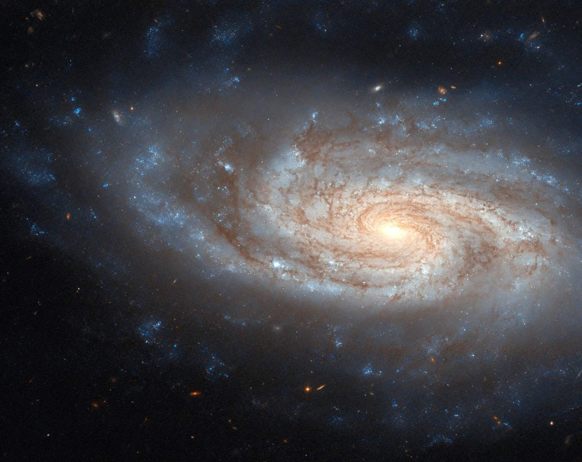 Hubble Images a Classic Spiral