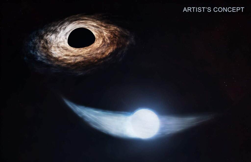 How and when a supermassive black hole consumes material?