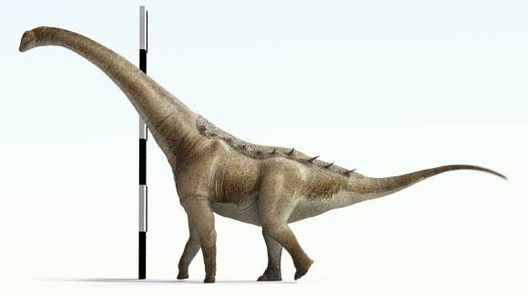 Paleontologists Discover New Species of Titanosaur in Spain