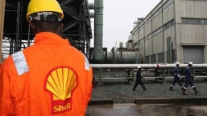 Niger Delta communities demand over N500 billion in damages from Shell