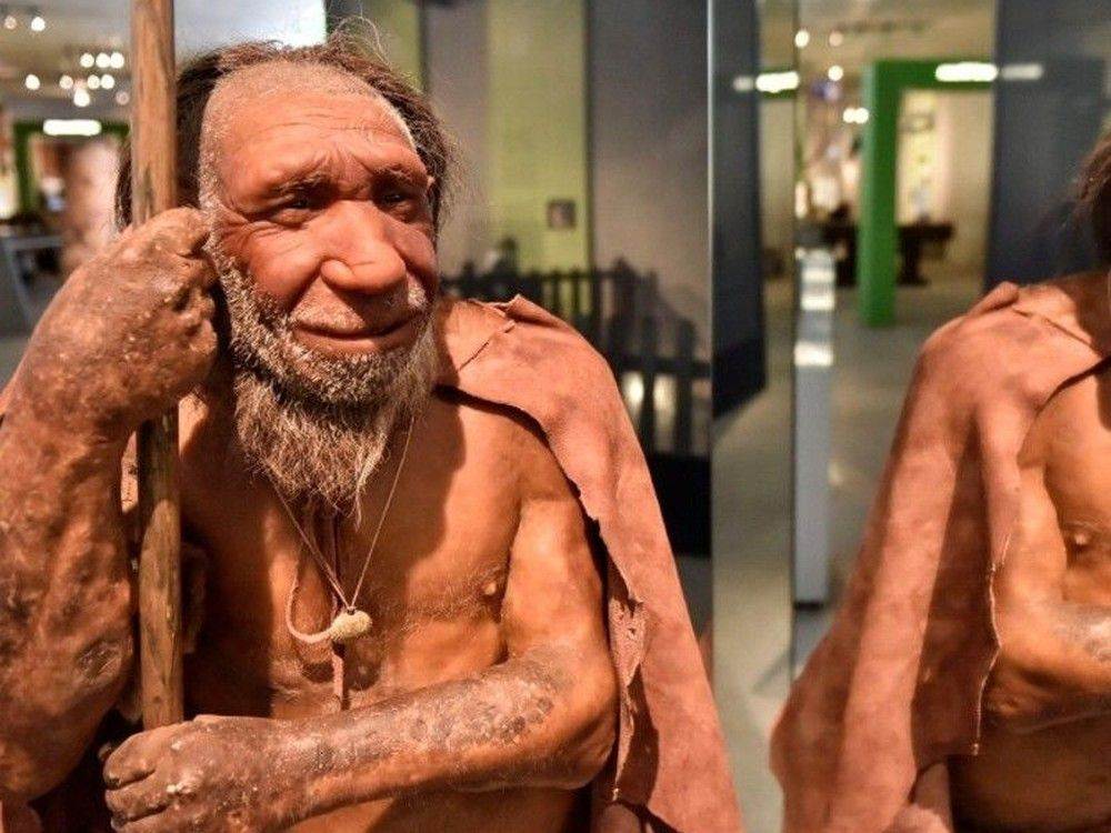 This aspect of Neanderthals’ lifestyle may have led to their extinction