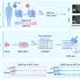 A microarray-based high-throughput in situ tagged immunoprecipitation sequencing technology for diffuse midline glioma