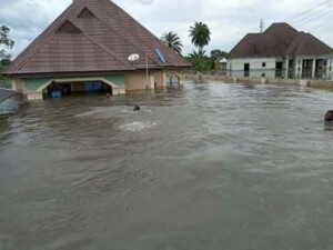 JUST IN: Residents flee as flood ravages 10 communities in another northern state