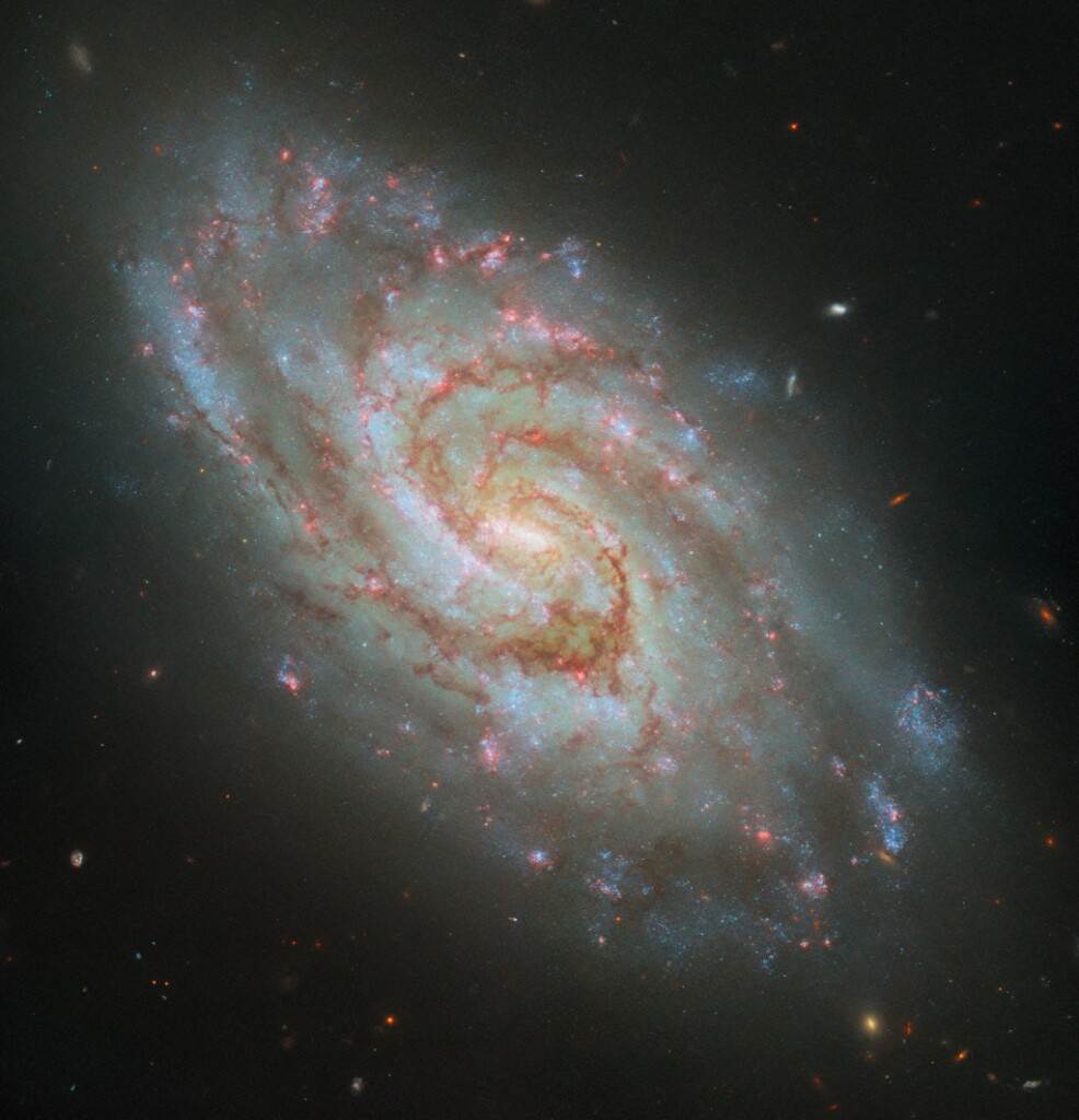 Hubble Captures Stellar Nurseries in a Majestic Spiral