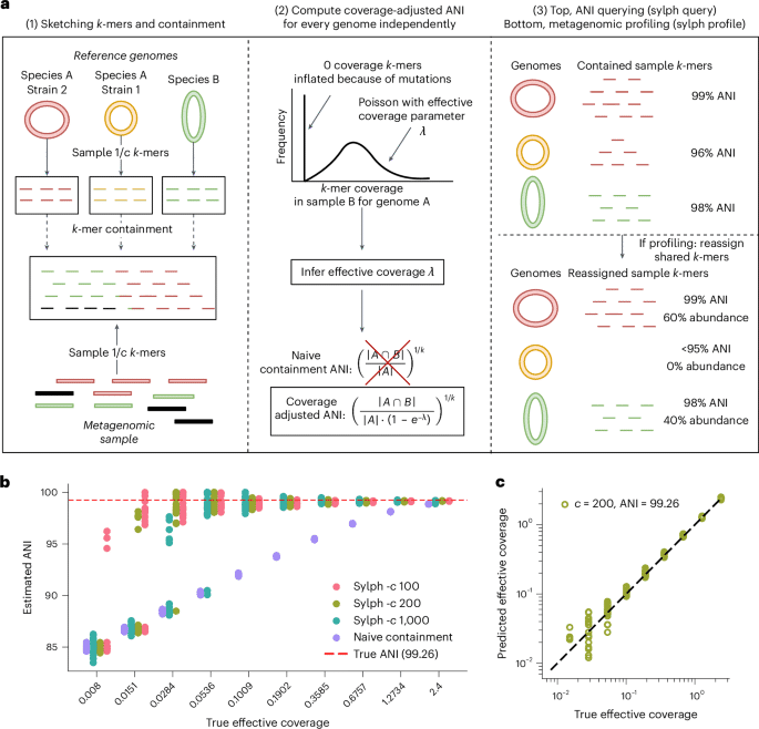 Rapid species-level metagenome profiling and containment estimation with sylph