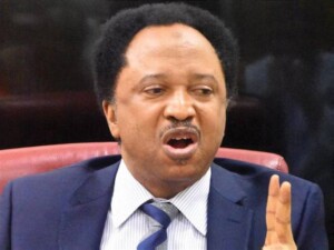 World Bank sees 15-year struggle ahead for Nigeria, says Shehu Sani