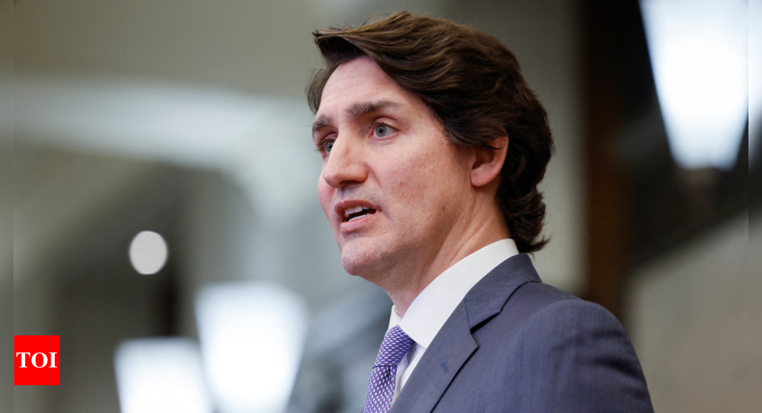 Canadian PM: Will lead Liberal Party into next election