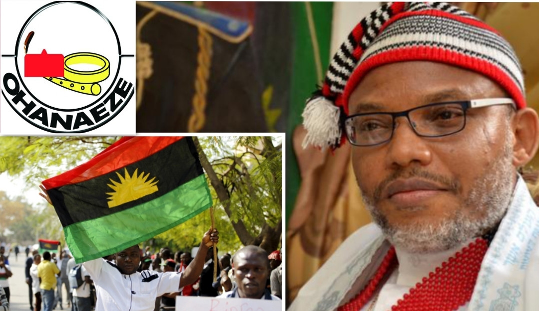 We urge the government not to consider appealing the judgement which freed Nnamdi Kanu - Ohanaeze Ndigbo Youth Council Worldwide