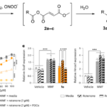 Site-specific drug release of monomethyl fumarate to treat oxidative stress disorders