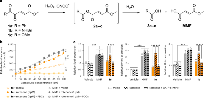 Site-specific drug release of monomethyl fumarate to treat oxidative stress disorders