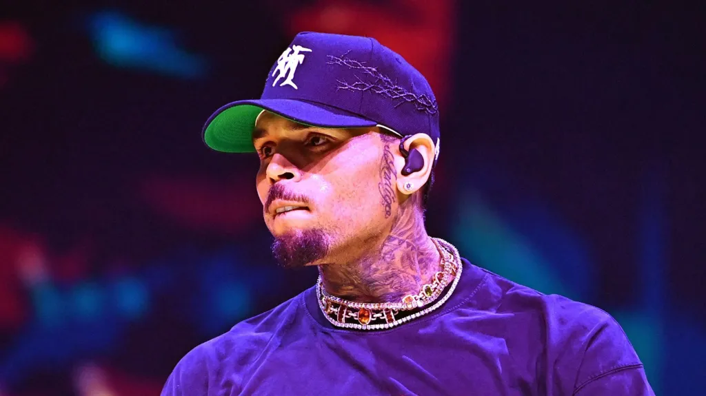 Chris Brown sues Warner Bros over documentary's sex assault claims